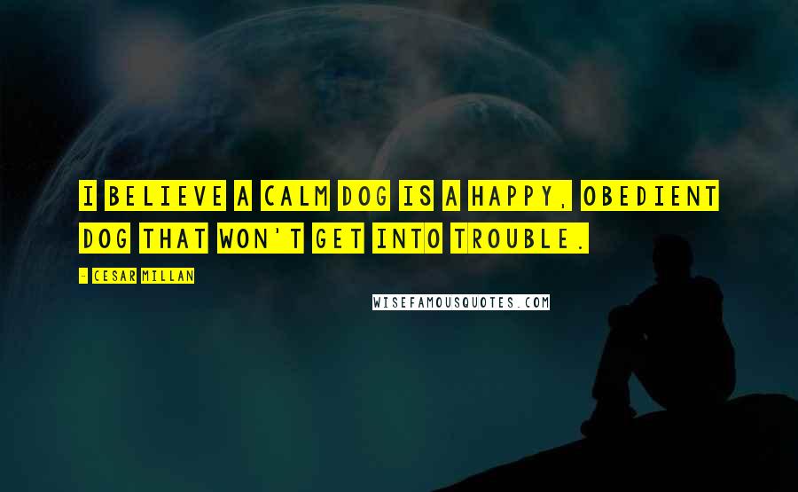 Cesar Millan Quotes: I believe a calm dog is a happy, obedient dog that won't get into trouble.