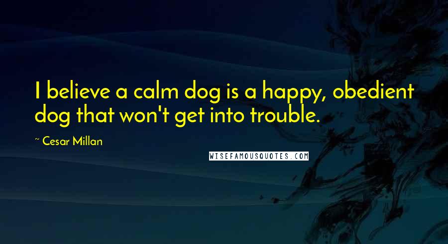 Cesar Millan Quotes: I believe a calm dog is a happy, obedient dog that won't get into trouble.