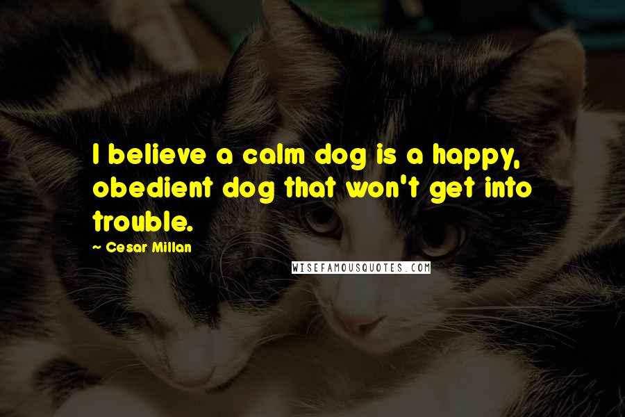 Cesar Millan Quotes: I believe a calm dog is a happy, obedient dog that won't get into trouble.