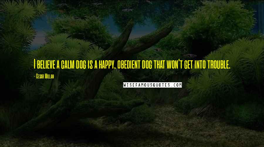Cesar Millan Quotes: I believe a calm dog is a happy, obedient dog that won't get into trouble.