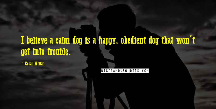 Cesar Millan Quotes: I believe a calm dog is a happy, obedient dog that won't get into trouble.