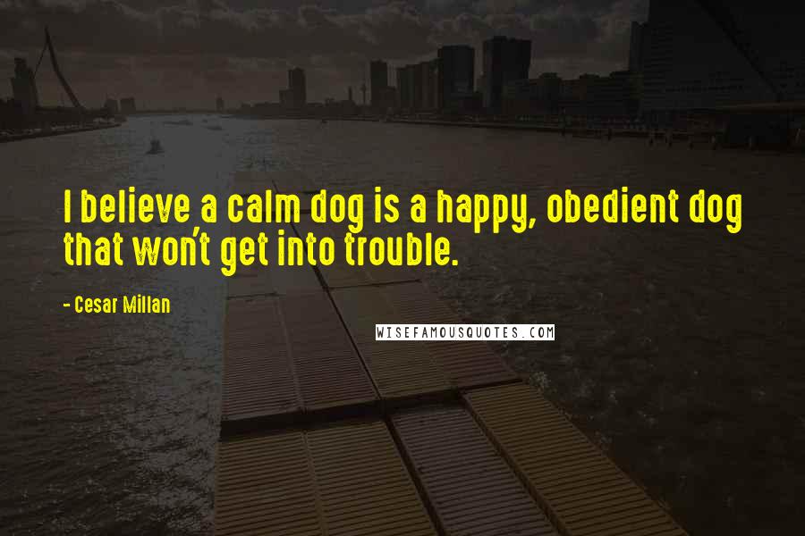 Cesar Millan Quotes: I believe a calm dog is a happy, obedient dog that won't get into trouble.