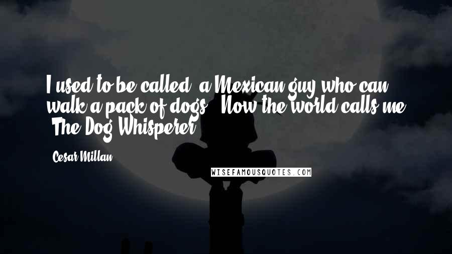 Cesar Millan Quotes: I used to be called 'a Mexican guy who can walk a pack of dogs.' Now the world calls me 'The Dog Whisperer'.