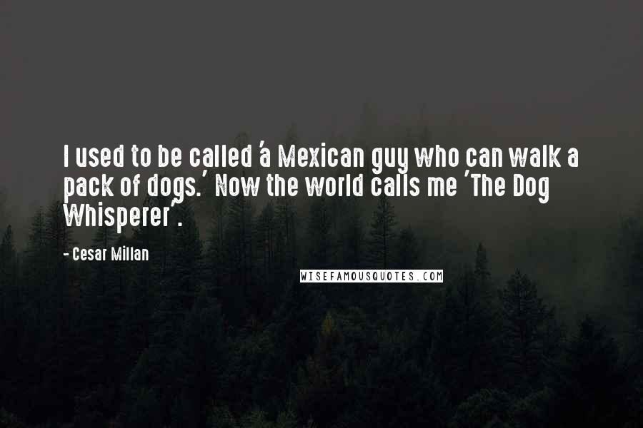 Cesar Millan Quotes: I used to be called 'a Mexican guy who can walk a pack of dogs.' Now the world calls me 'The Dog Whisperer'.