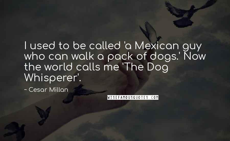 Cesar Millan Quotes: I used to be called 'a Mexican guy who can walk a pack of dogs.' Now the world calls me 'The Dog Whisperer'.