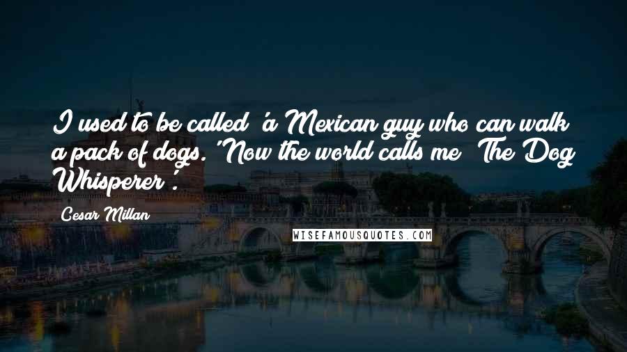 Cesar Millan Quotes: I used to be called 'a Mexican guy who can walk a pack of dogs.' Now the world calls me 'The Dog Whisperer'.