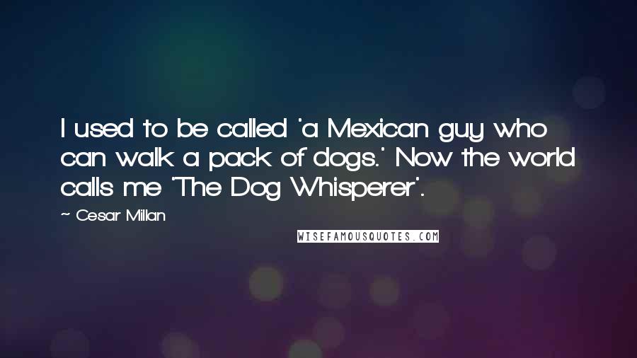 Cesar Millan Quotes: I used to be called 'a Mexican guy who can walk a pack of dogs.' Now the world calls me 'The Dog Whisperer'.