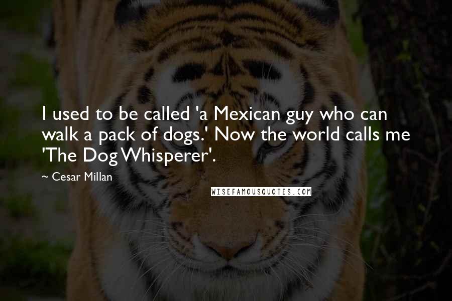 Cesar Millan Quotes: I used to be called 'a Mexican guy who can walk a pack of dogs.' Now the world calls me 'The Dog Whisperer'.