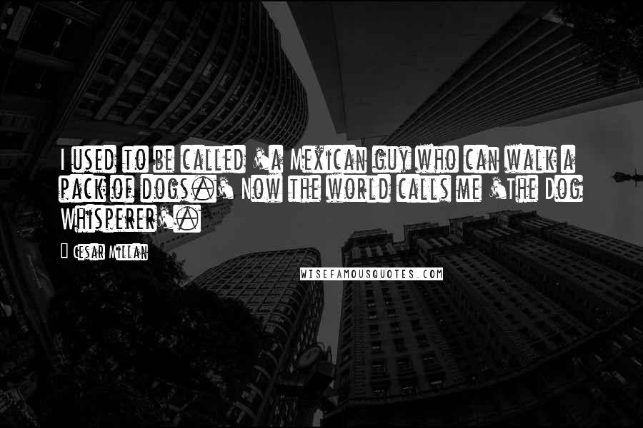 Cesar Millan Quotes: I used to be called 'a Mexican guy who can walk a pack of dogs.' Now the world calls me 'The Dog Whisperer'.