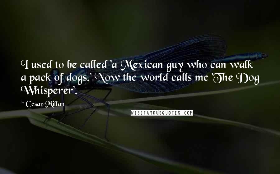 Cesar Millan Quotes: I used to be called 'a Mexican guy who can walk a pack of dogs.' Now the world calls me 'The Dog Whisperer'.