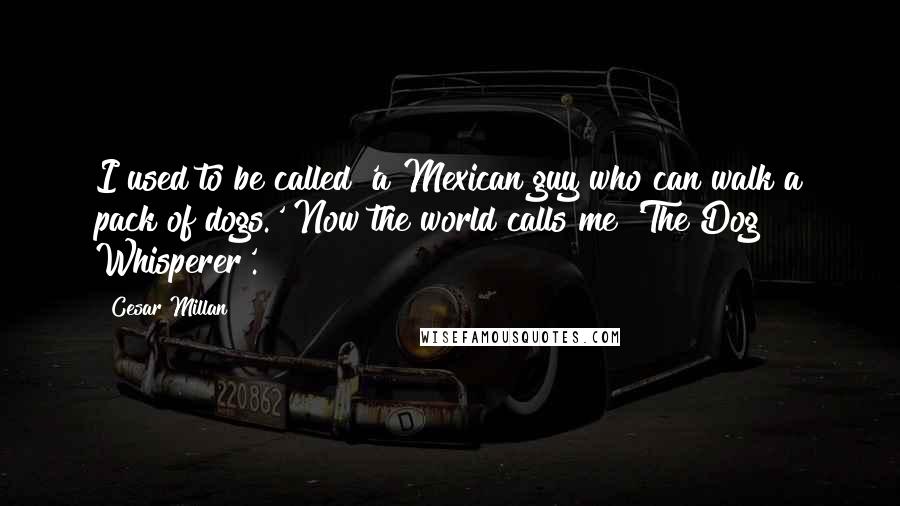 Cesar Millan Quotes: I used to be called 'a Mexican guy who can walk a pack of dogs.' Now the world calls me 'The Dog Whisperer'.