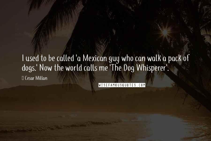 Cesar Millan Quotes: I used to be called 'a Mexican guy who can walk a pack of dogs.' Now the world calls me 'The Dog Whisperer'.
