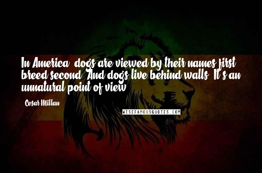 Cesar Millan Quotes: In America, dogs are viewed by their names first, breed second. And dogs live behind walls. It's an unnatural point of view.