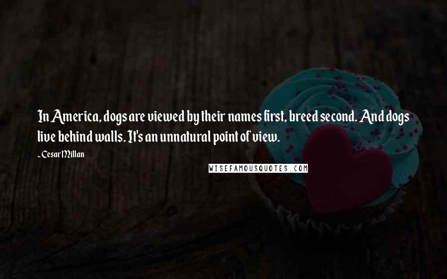 Cesar Millan Quotes: In America, dogs are viewed by their names first, breed second. And dogs live behind walls. It's an unnatural point of view.