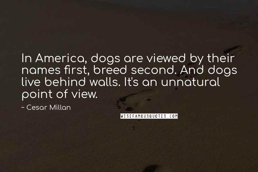 Cesar Millan Quotes: In America, dogs are viewed by their names first, breed second. And dogs live behind walls. It's an unnatural point of view.