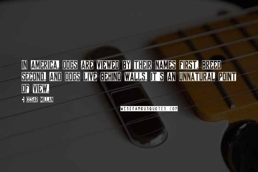 Cesar Millan Quotes: In America, dogs are viewed by their names first, breed second. And dogs live behind walls. It's an unnatural point of view.