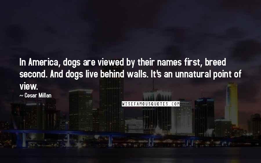 Cesar Millan Quotes: In America, dogs are viewed by their names first, breed second. And dogs live behind walls. It's an unnatural point of view.