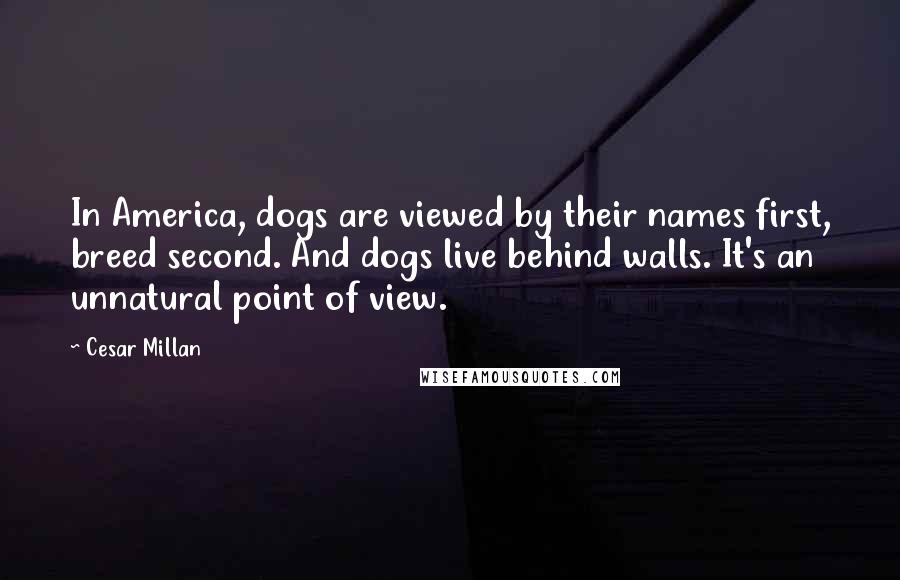 Cesar Millan Quotes: In America, dogs are viewed by their names first, breed second. And dogs live behind walls. It's an unnatural point of view.