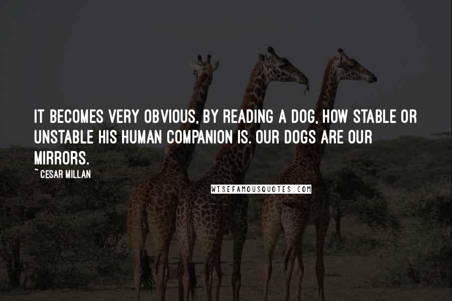 Cesar Millan Quotes: It becomes very obvious, by reading a dog, how stable or unstable his human companion is. Our dogs are our mirrors.