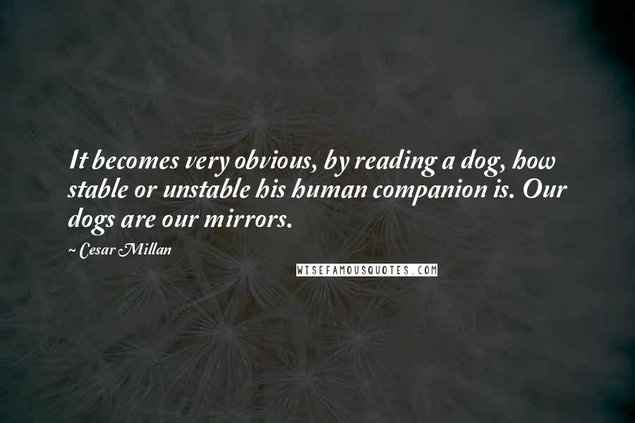 Cesar Millan Quotes: It becomes very obvious, by reading a dog, how stable or unstable his human companion is. Our dogs are our mirrors.