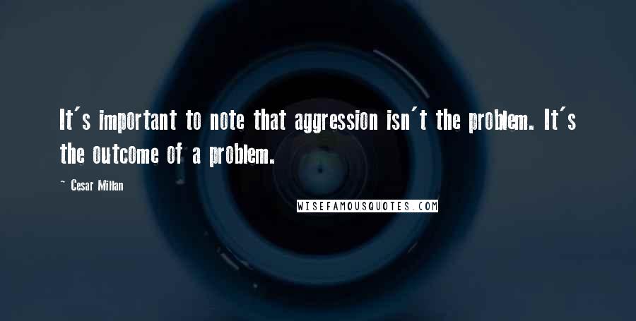 Cesar Millan Quotes: It's important to note that aggression isn't the problem. It's the outcome of a problem.