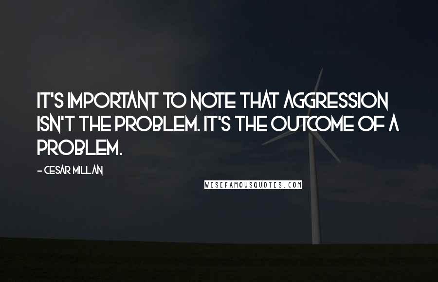 Cesar Millan Quotes: It's important to note that aggression isn't the problem. It's the outcome of a problem.