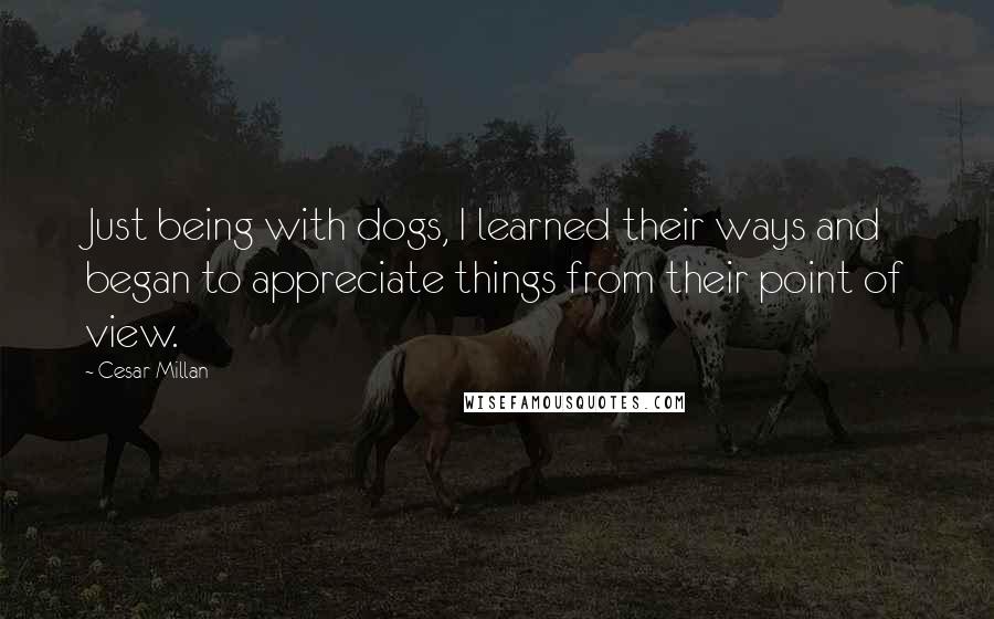 Cesar Millan Quotes: Just being with dogs, I learned their ways and began to appreciate things from their point of view.