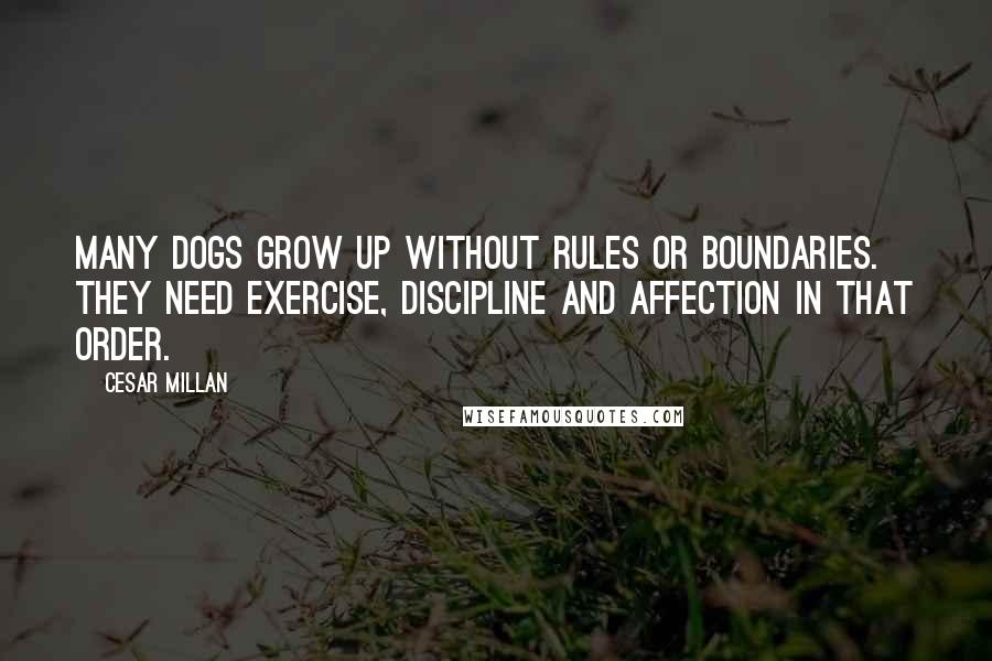 Cesar Millan Quotes: Many dogs grow up without rules or boundaries. They need exercise, discipline and affection in that order.