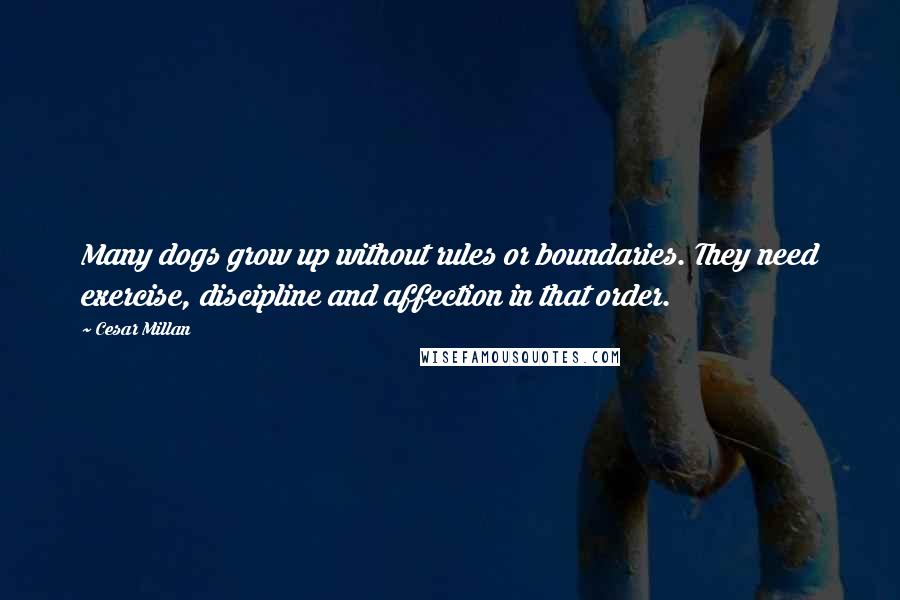 Cesar Millan Quotes: Many dogs grow up without rules or boundaries. They need exercise, discipline and affection in that order.