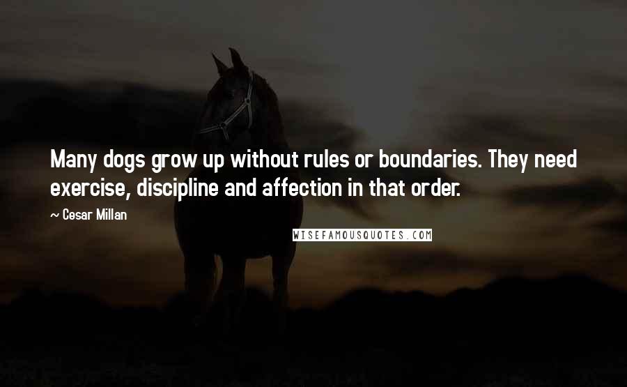 Cesar Millan Quotes: Many dogs grow up without rules or boundaries. They need exercise, discipline and affection in that order.