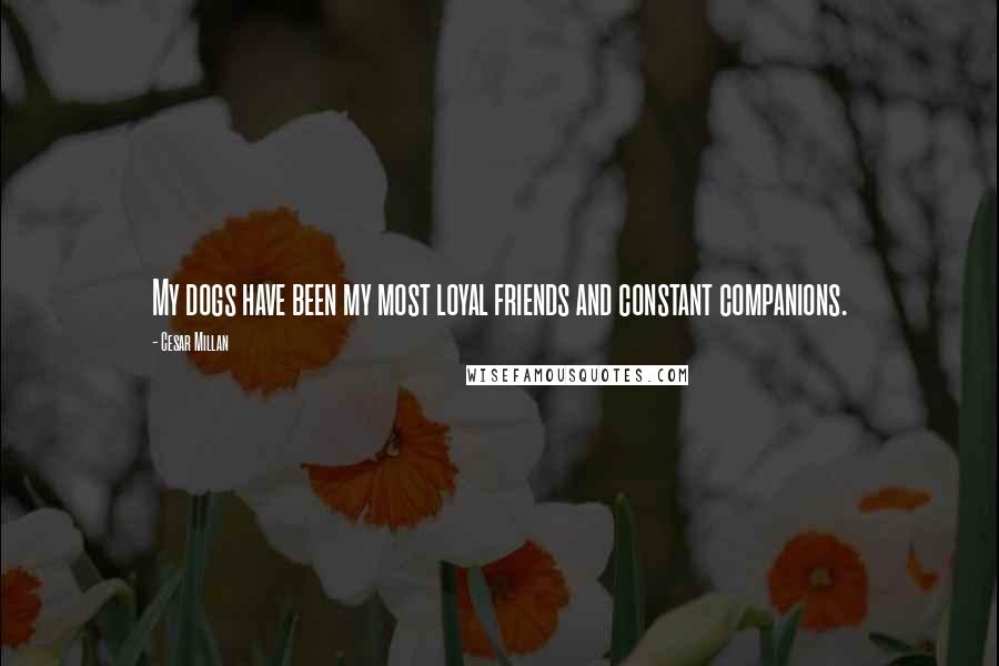 Cesar Millan Quotes: My dogs have been my most loyal friends and constant companions.