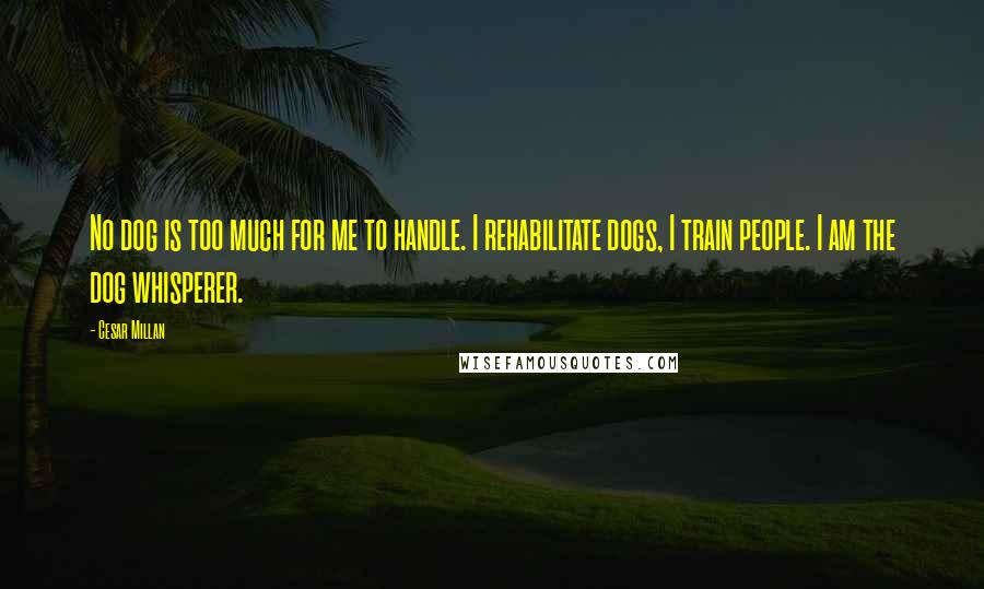 Cesar Millan Quotes: No dog is too much for me to handle. I rehabilitate dogs, I train people. I am the dog whisperer.