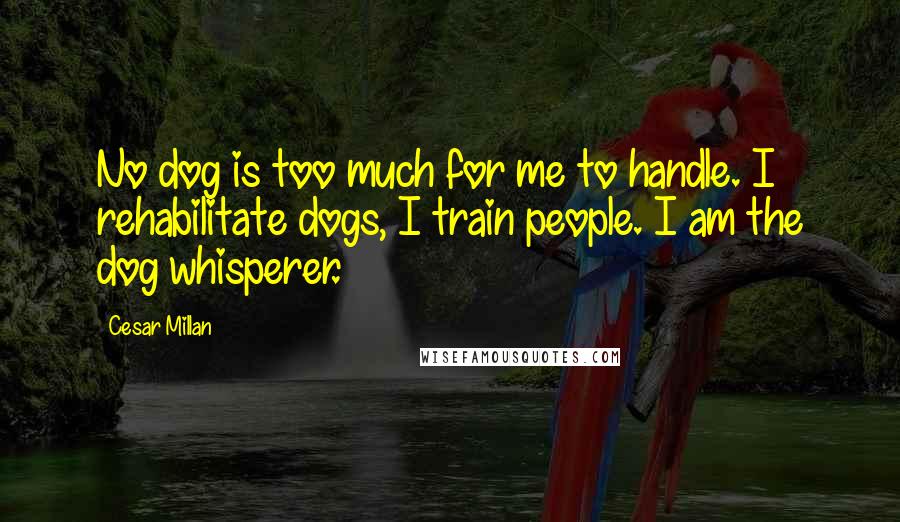 Cesar Millan Quotes: No dog is too much for me to handle. I rehabilitate dogs, I train people. I am the dog whisperer.