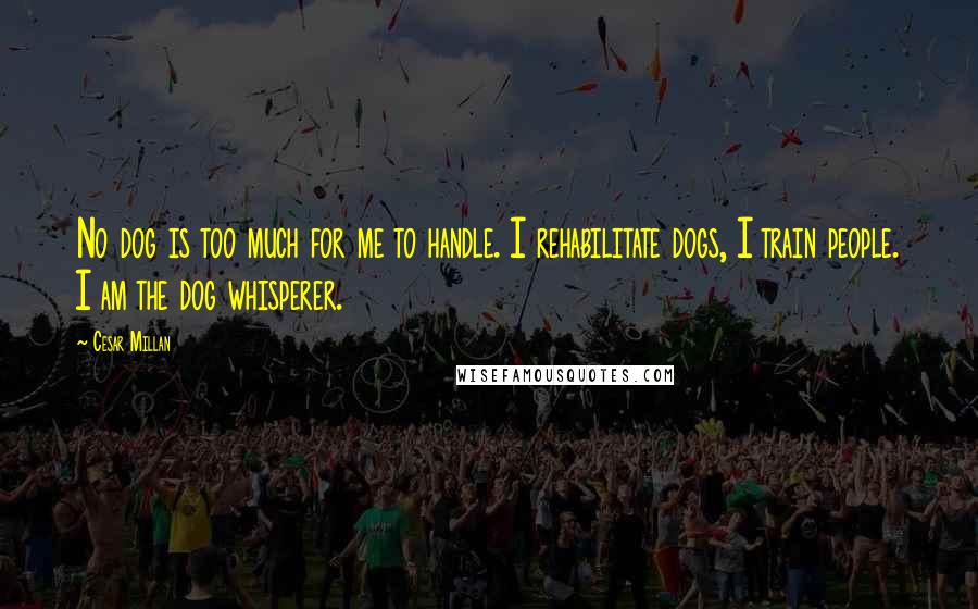Cesar Millan Quotes: No dog is too much for me to handle. I rehabilitate dogs, I train people. I am the dog whisperer.
