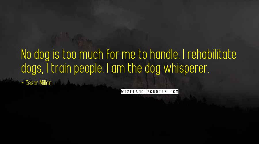 Cesar Millan Quotes: No dog is too much for me to handle. I rehabilitate dogs, I train people. I am the dog whisperer.