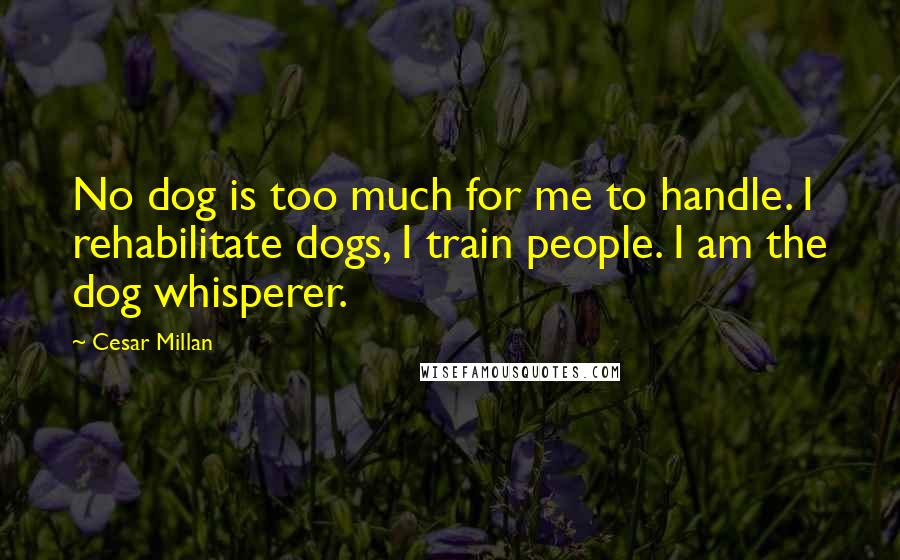 Cesar Millan Quotes: No dog is too much for me to handle. I rehabilitate dogs, I train people. I am the dog whisperer.