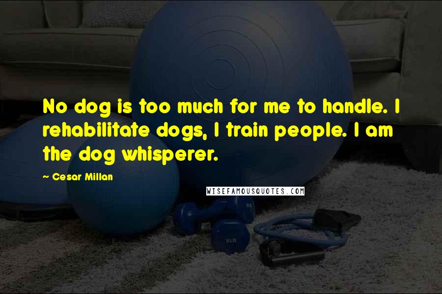 Cesar Millan Quotes: No dog is too much for me to handle. I rehabilitate dogs, I train people. I am the dog whisperer.