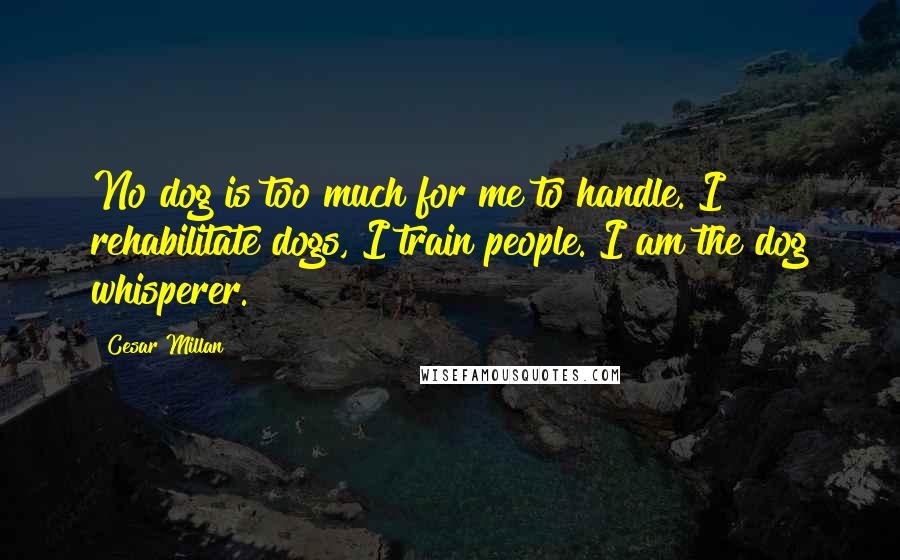 Cesar Millan Quotes: No dog is too much for me to handle. I rehabilitate dogs, I train people. I am the dog whisperer.