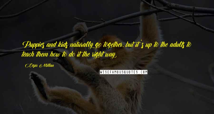 Cesar Millan Quotes: Puppies and kids naturally go together, but it's up to the adults to teach them how to do it the right way.