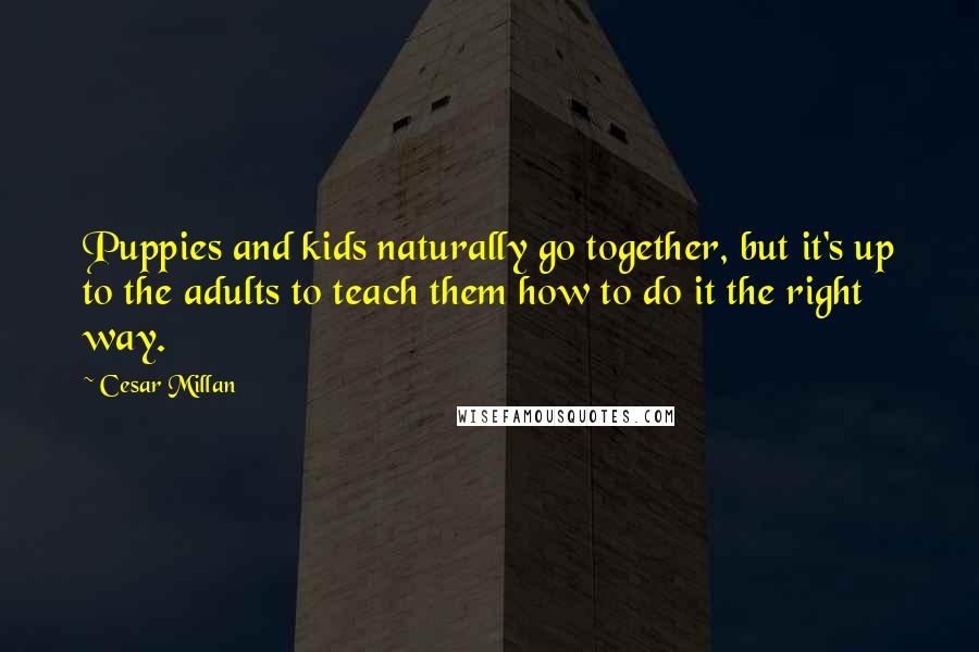 Cesar Millan Quotes: Puppies and kids naturally go together, but it's up to the adults to teach them how to do it the right way.