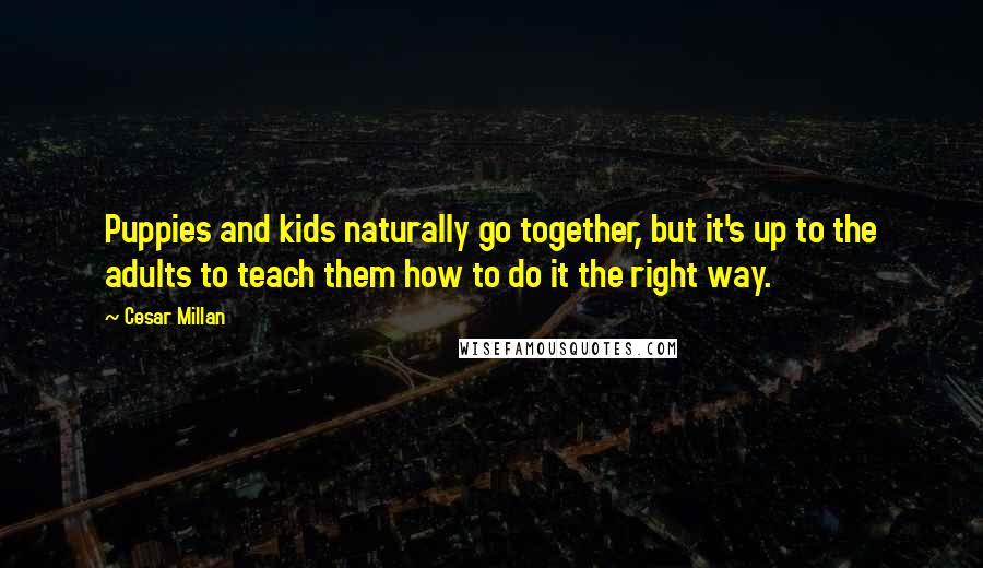 Cesar Millan Quotes: Puppies and kids naturally go together, but it's up to the adults to teach them how to do it the right way.