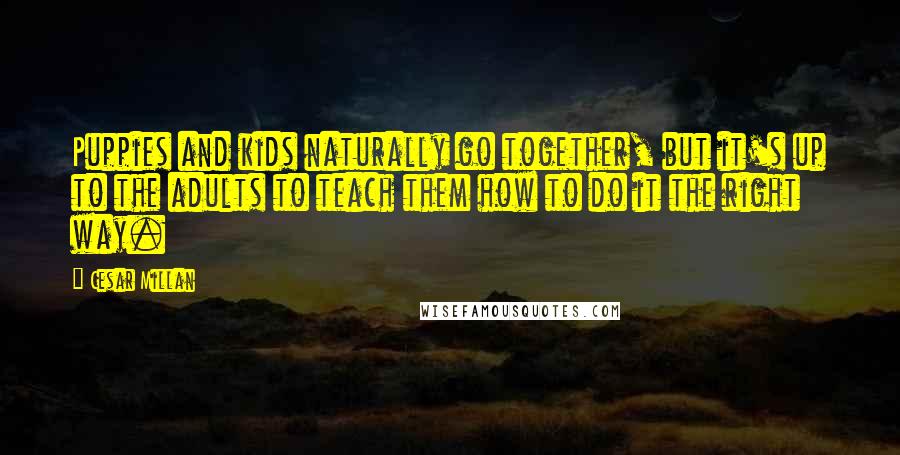 Cesar Millan Quotes: Puppies and kids naturally go together, but it's up to the adults to teach them how to do it the right way.
