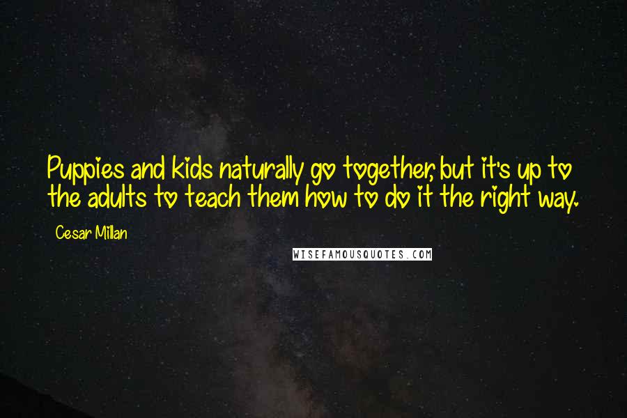 Cesar Millan Quotes: Puppies and kids naturally go together, but it's up to the adults to teach them how to do it the right way.