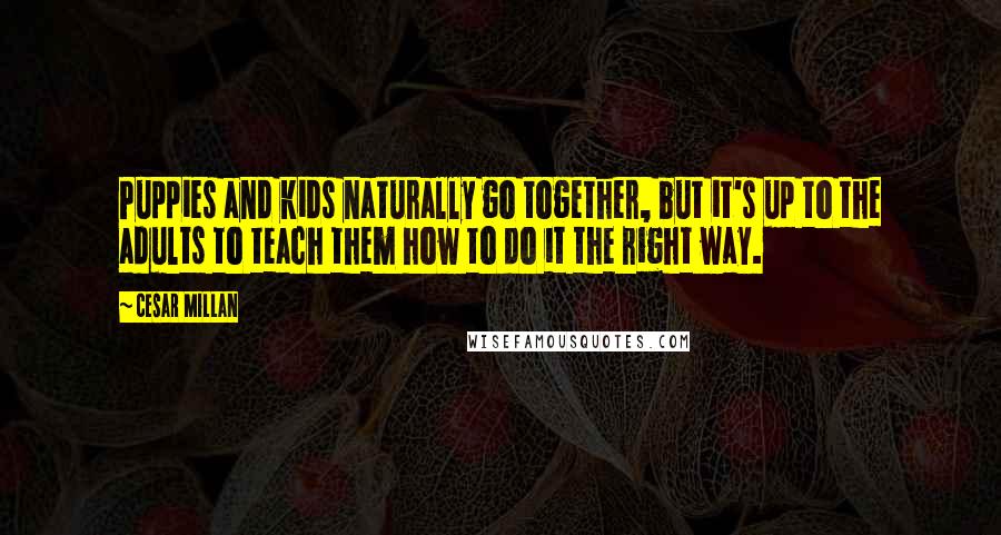Cesar Millan Quotes: Puppies and kids naturally go together, but it's up to the adults to teach them how to do it the right way.