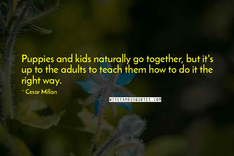 Cesar Millan Quotes: Puppies and kids naturally go together, but it's up to the adults to teach them how to do it the right way.