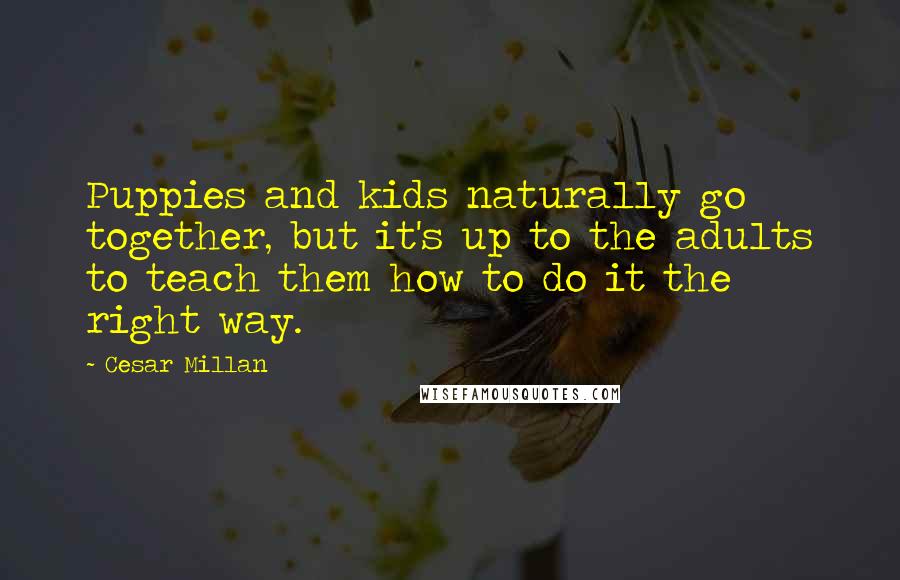 Cesar Millan Quotes: Puppies and kids naturally go together, but it's up to the adults to teach them how to do it the right way.