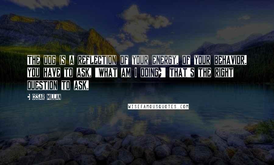 Cesar Millan Quotes: The dog is a reflection of your energy, of your behavior. You have to ask, 'What am I doing?' That's the right question to ask.
