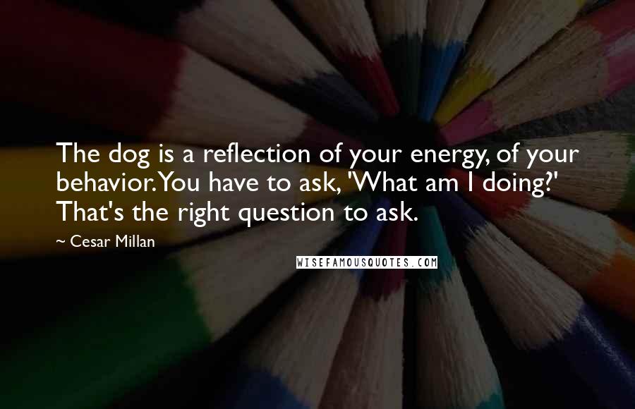 Cesar Millan Quotes: The dog is a reflection of your energy, of your behavior. You have to ask, 'What am I doing?' That's the right question to ask.