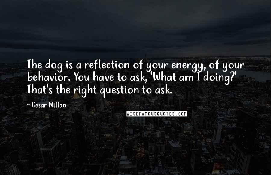 Cesar Millan Quotes: The dog is a reflection of your energy, of your behavior. You have to ask, 'What am I doing?' That's the right question to ask.