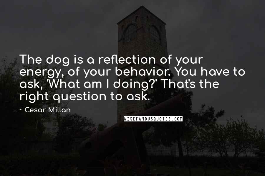 Cesar Millan Quotes: The dog is a reflection of your energy, of your behavior. You have to ask, 'What am I doing?' That's the right question to ask.